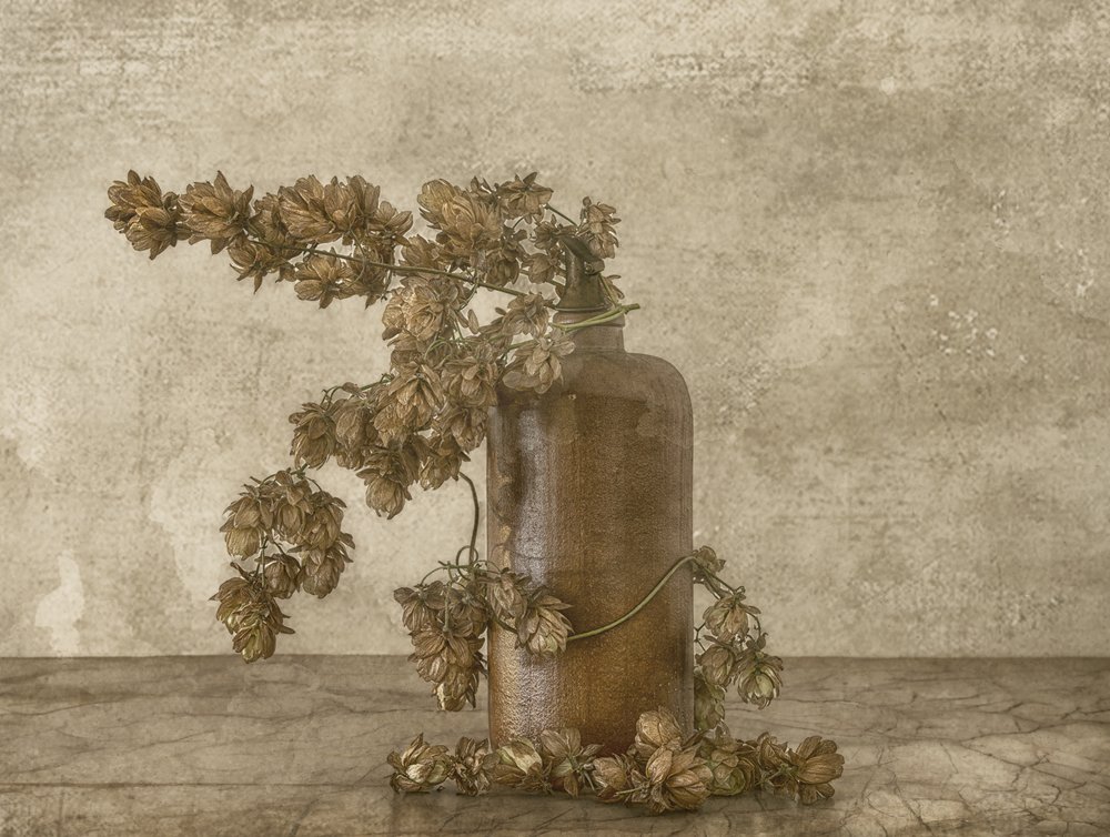 Rustic Hops Still Life by Marie-anne Stas