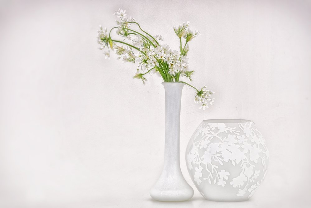 Star-of-Bethlehem by Marie-anne Stas