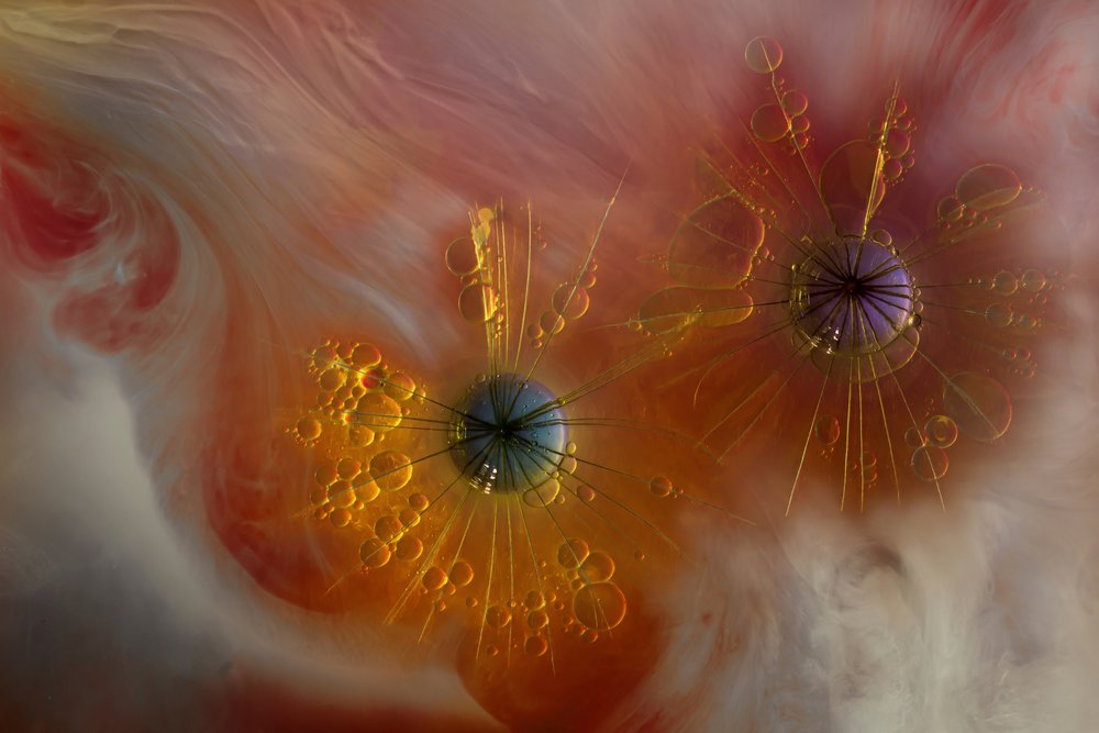 Ethereal Fluid Forms by Marijose Cueli