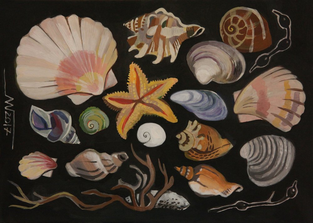 Seashell Collection by Marina Gorkaeva