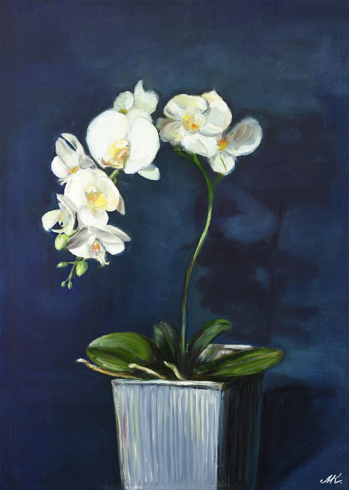 Elegant White Orchids by Marina Kozyr