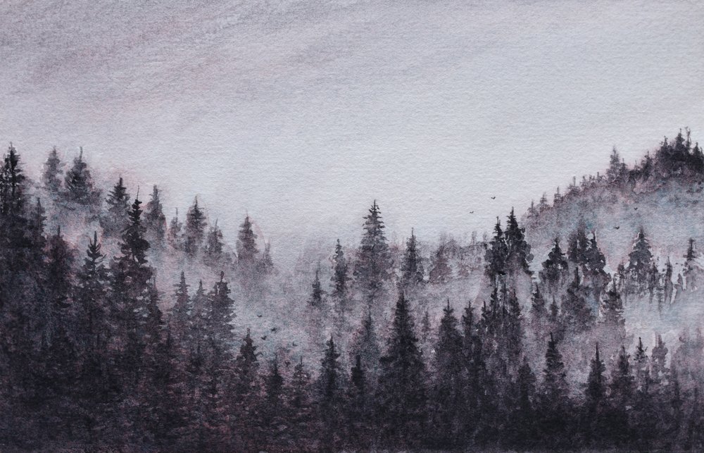 Misty Forest Landscape by Marina Kozyr
