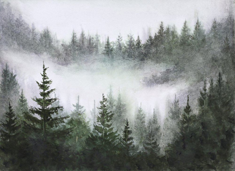 Misty Forest Serenity by Marina Kozyr