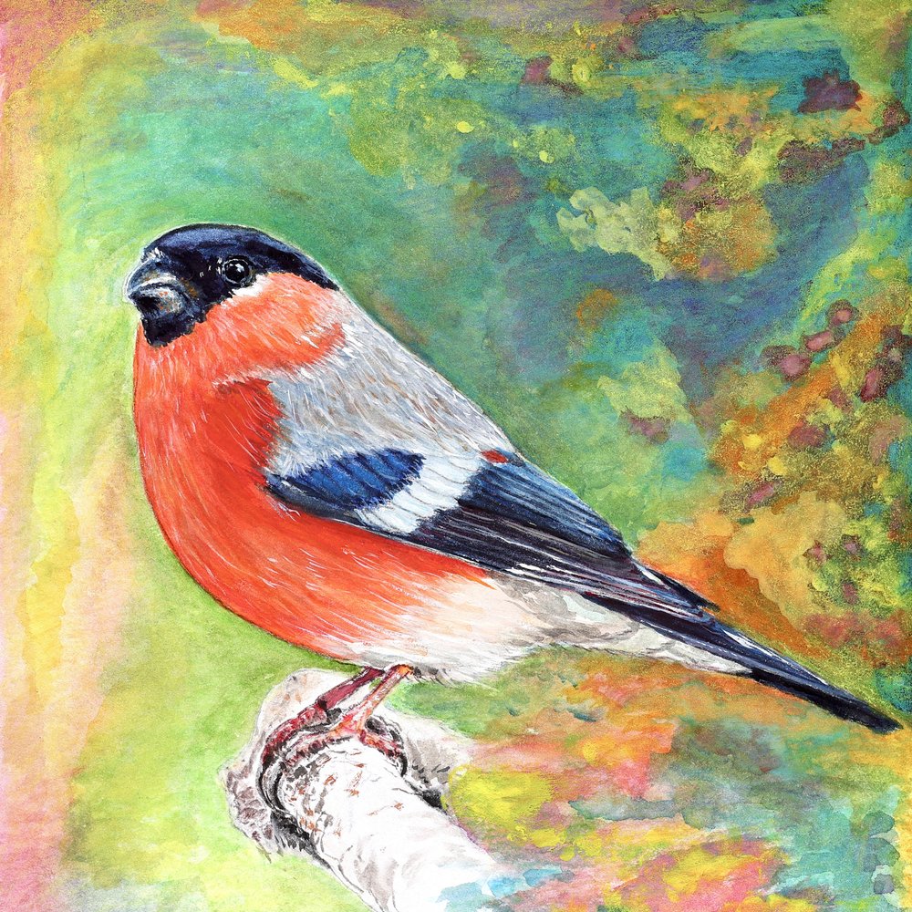 Vibrant Bullfinch Bird by Marina Kozyr