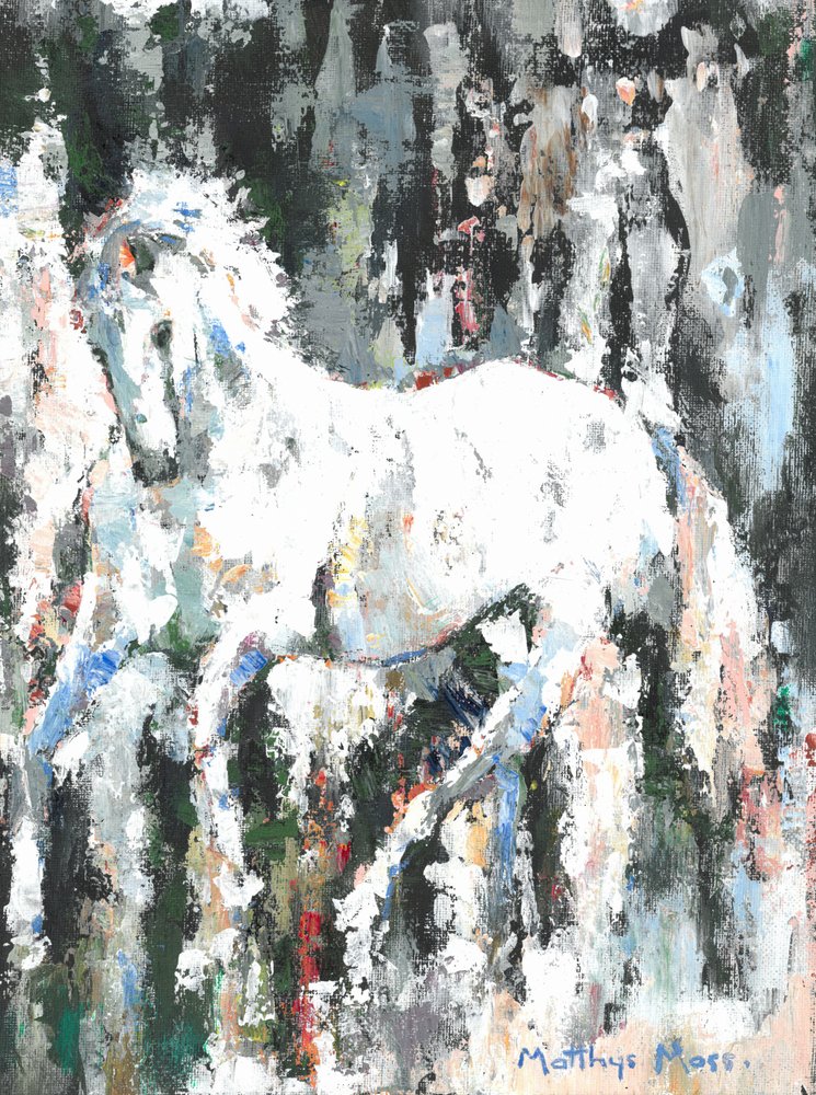 Spirited White Horse by Matthys Moss