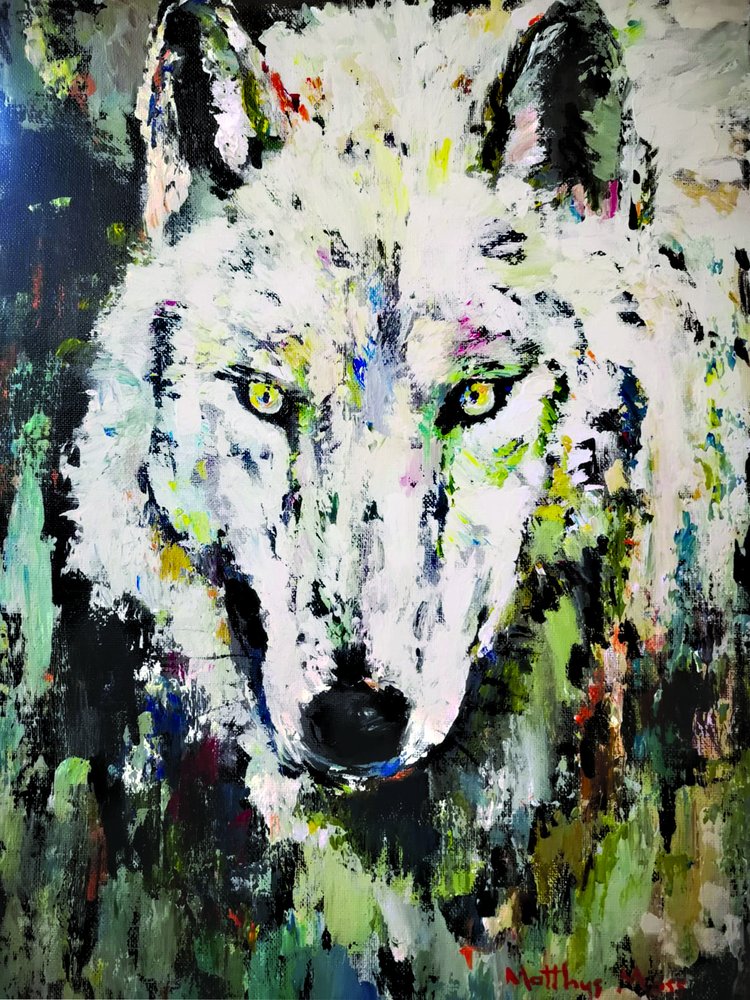 White Wolf Gaze by Matthys Moss