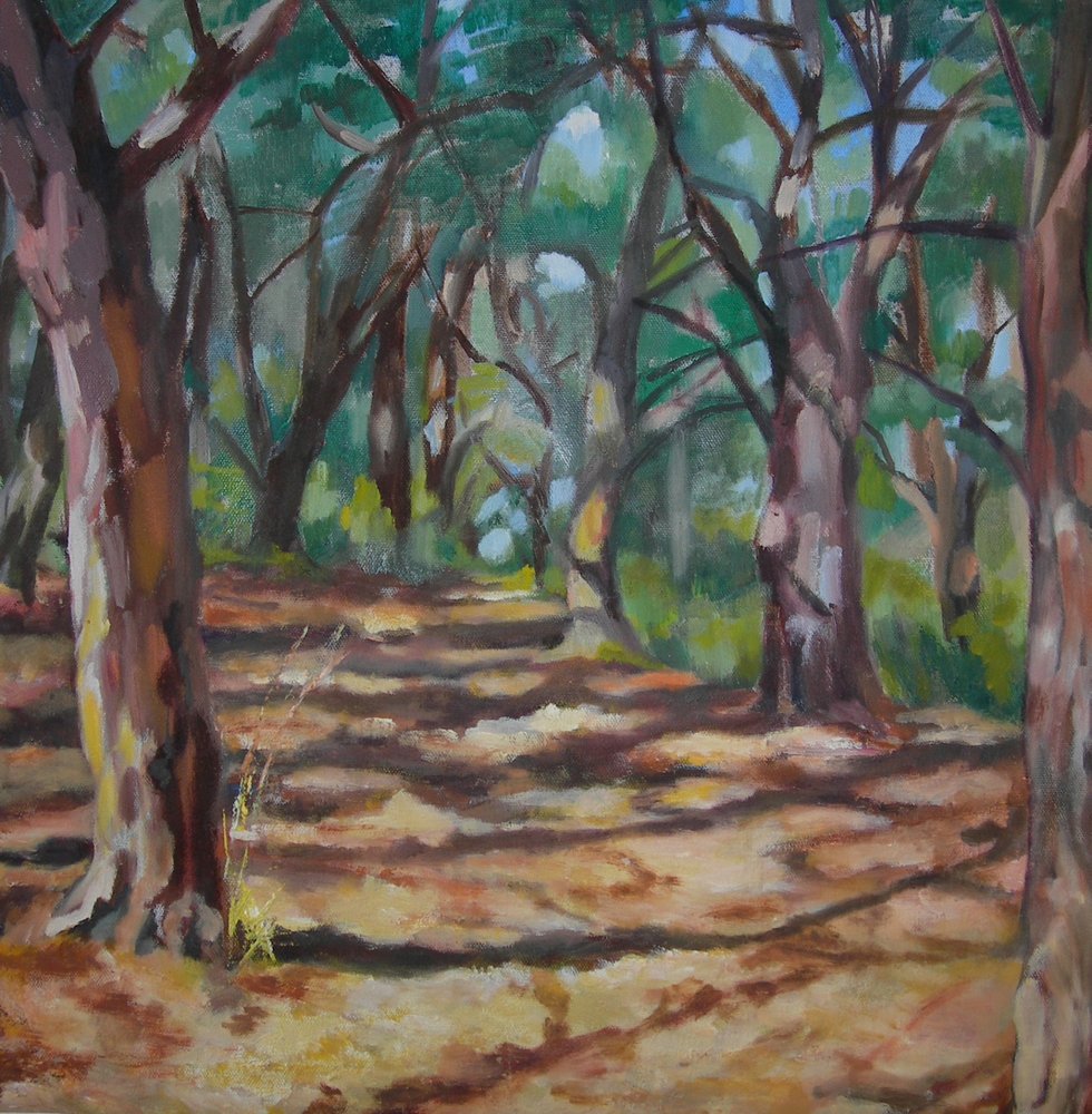 Dappled Forest Path by Maxine Shore