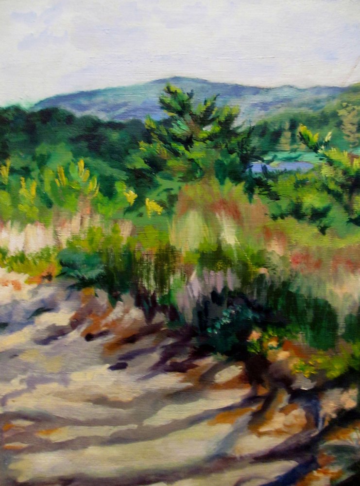 Sunlit Mountain Path by Maxine Shore