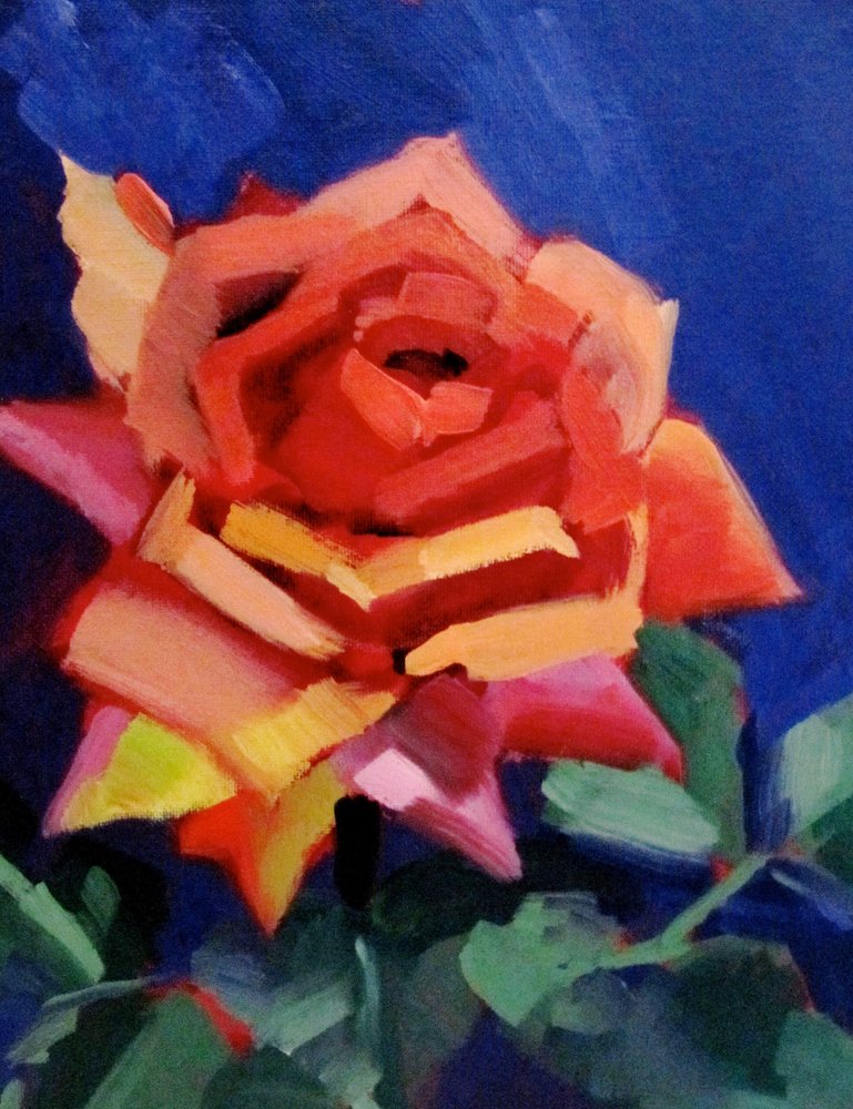 Vibrant Rose Bloom by Maxine Shore