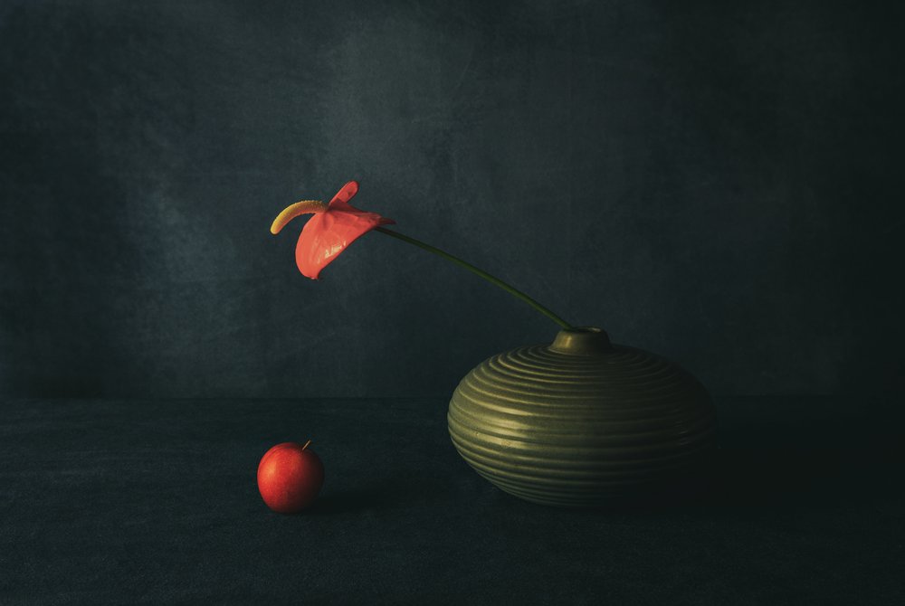 Red Anthurium Still Life by May G