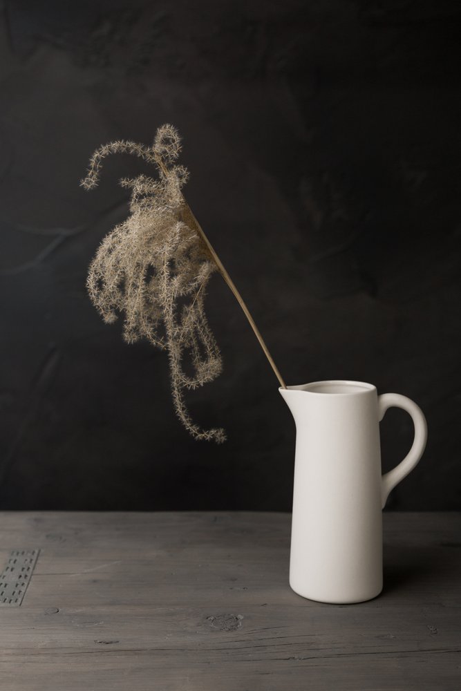 White Pitcher Pampas Grass by Mayra Pama