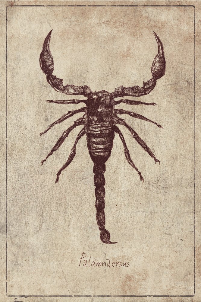 Palamnaersus Specie by Mike Koubou