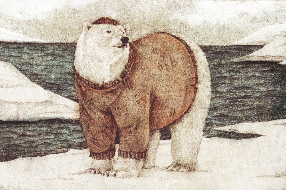 Polar Sailor by Mike Koubou