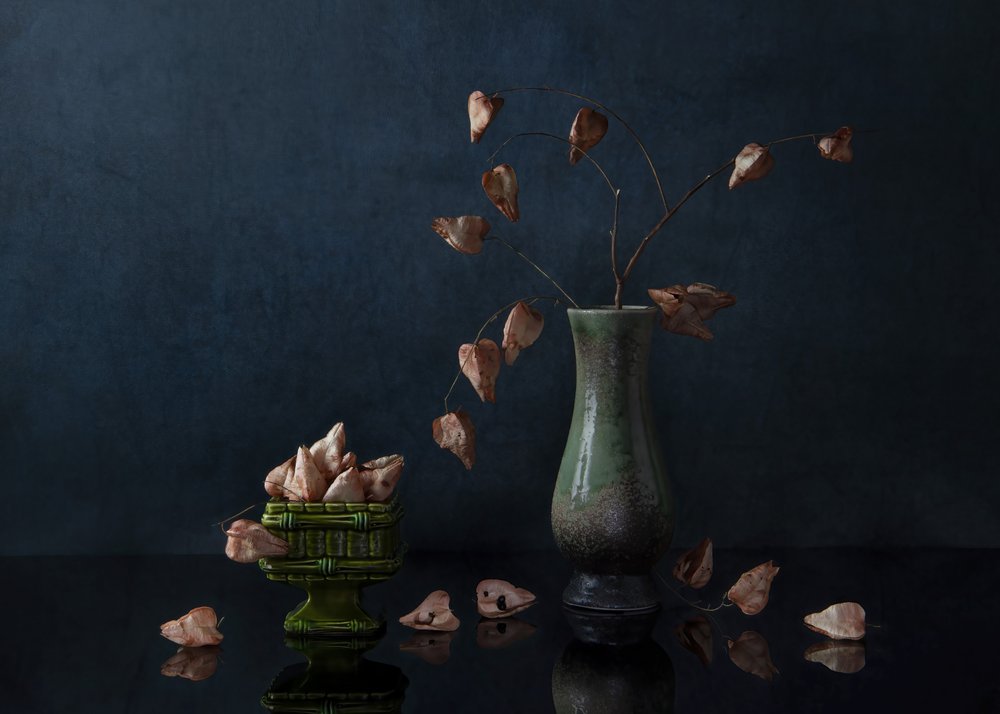 Dark Botanical Still Life by Ming Chen