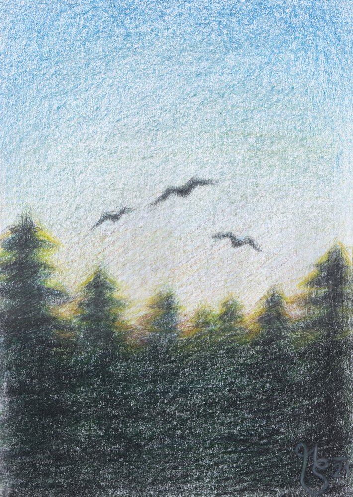 Serene Forest Flight by Mirjam Schrei