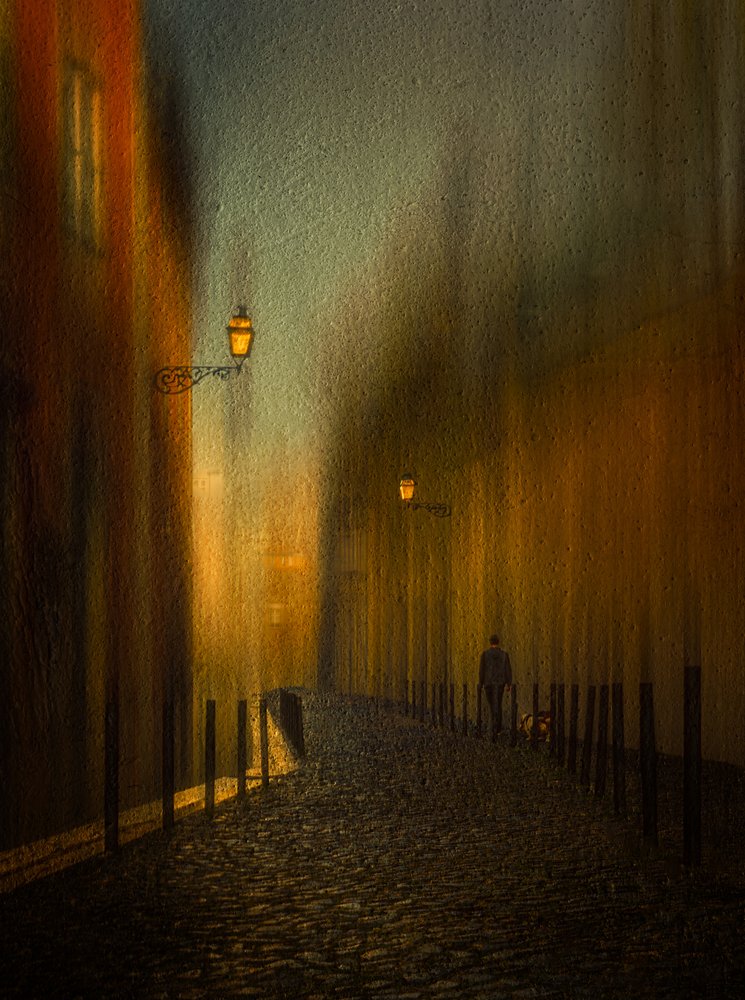 Mysterious Night Alley by Molly Fu APA