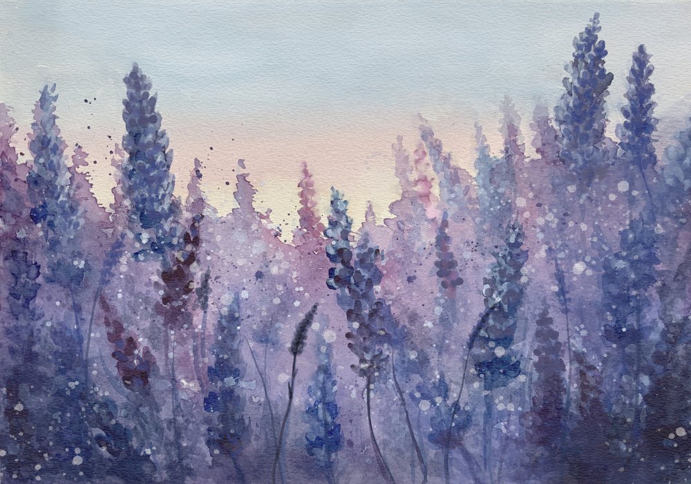 Lavender Sunset Glow by Monica Lindblom