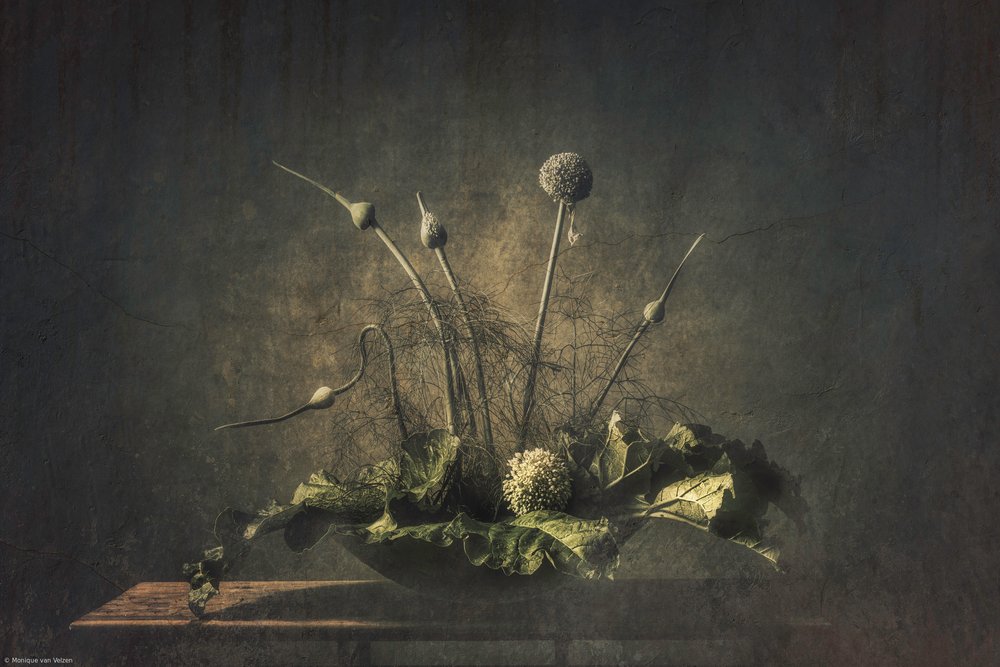 Dark Botanical Still Life by Monique van Velzen