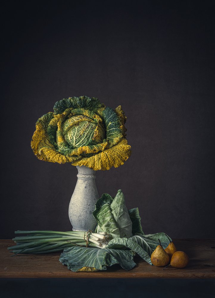 Rustic Cabbage Still Life by Monique van Velzen