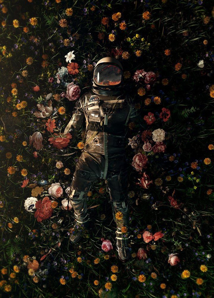 Cosmic Floral Dream by Nicebleed