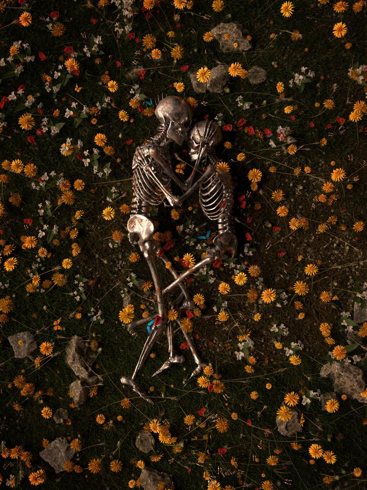 Skeletons In Love by Nicebleed