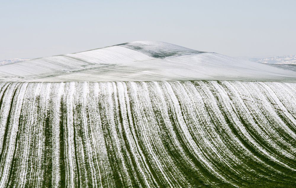 Snowy Field Patterns by Nicola Figliuolo