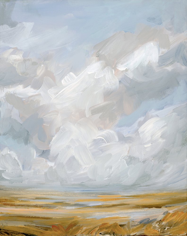 Expansive Cloudscape Landscape by Nicole Walsh