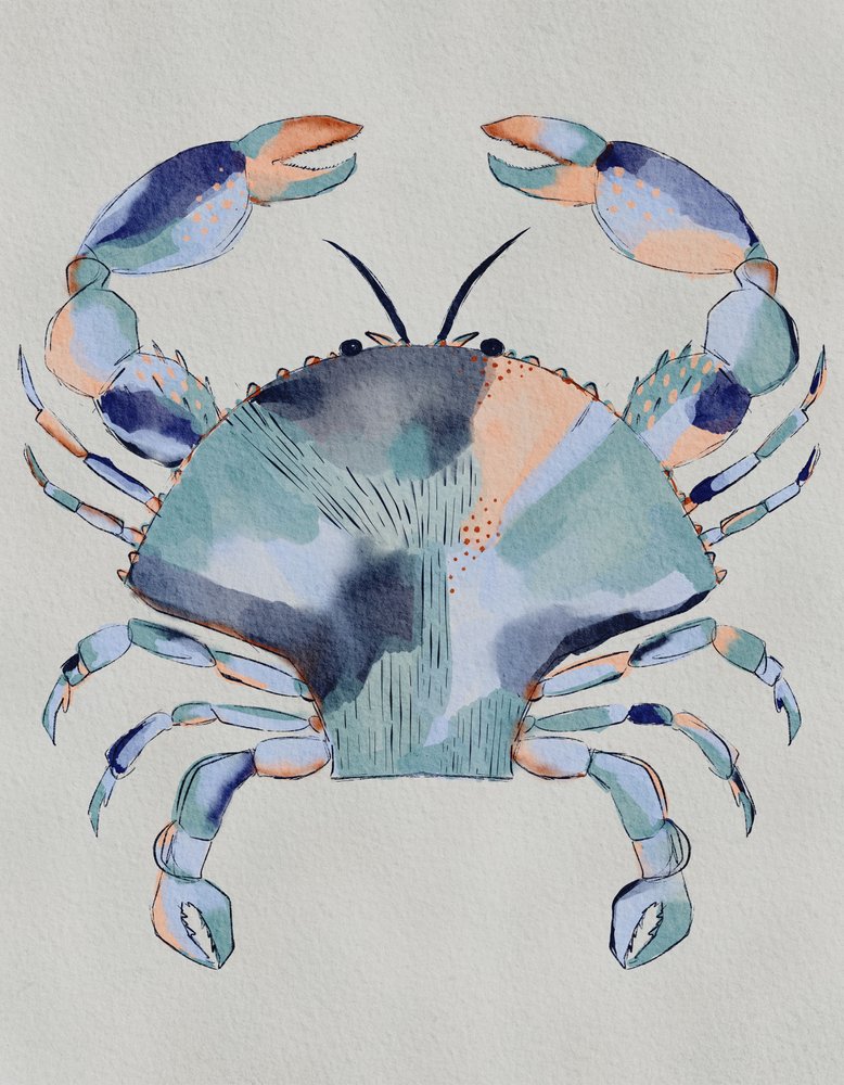 Coastal Blue Crab by Nikita Jariwala