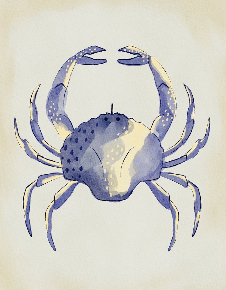 Watercolor Blue Crab by Nikita Jariwala