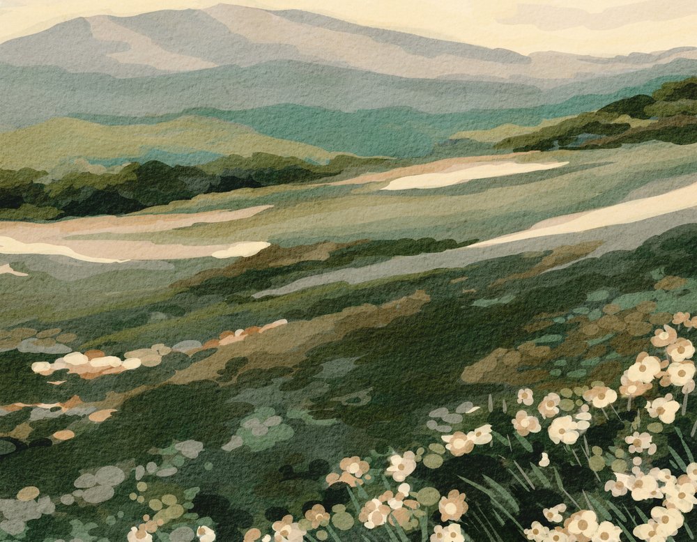 Wildflower Mountain Landscape by Nikita Jariwala