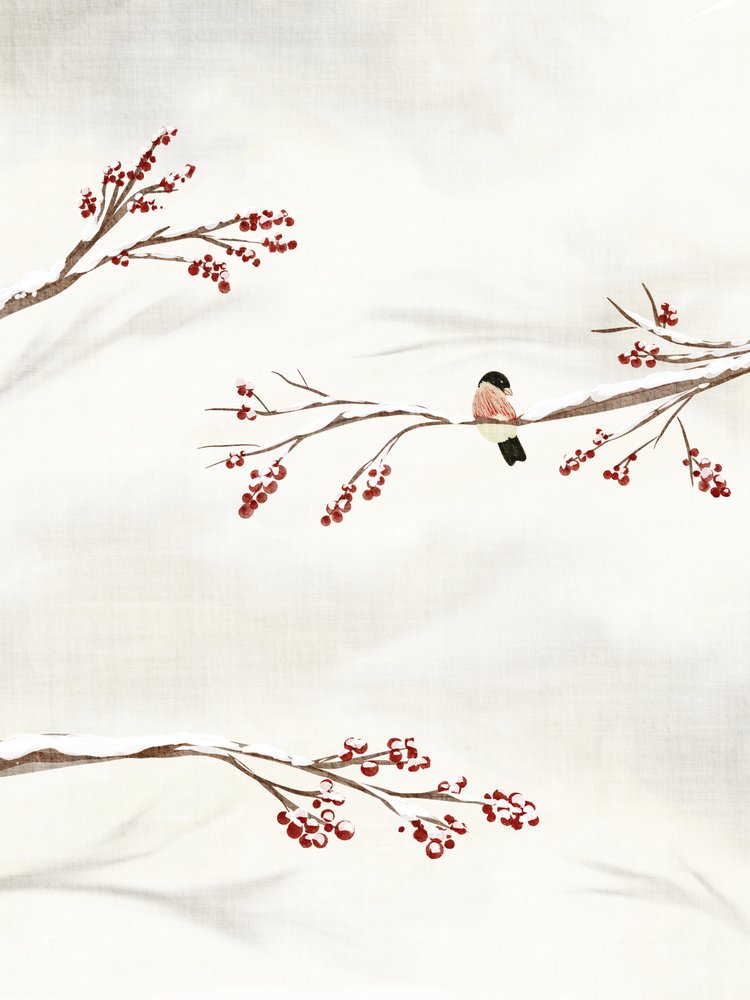 Winter Bird With Berries by Nikita Jariwala