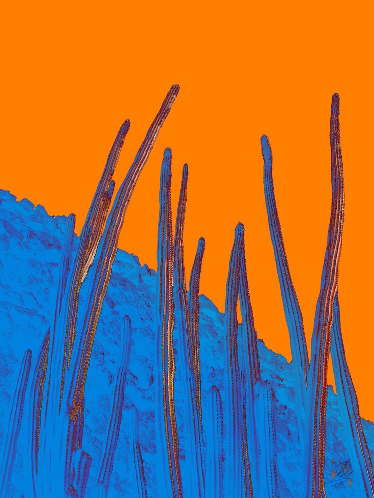 Blue Cacti Orange Sky by Osvaldo Russo