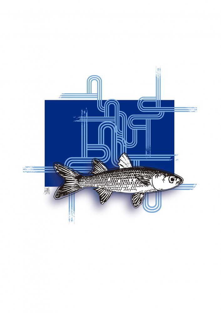Blue Geometric Fish by Osvaldo Russo