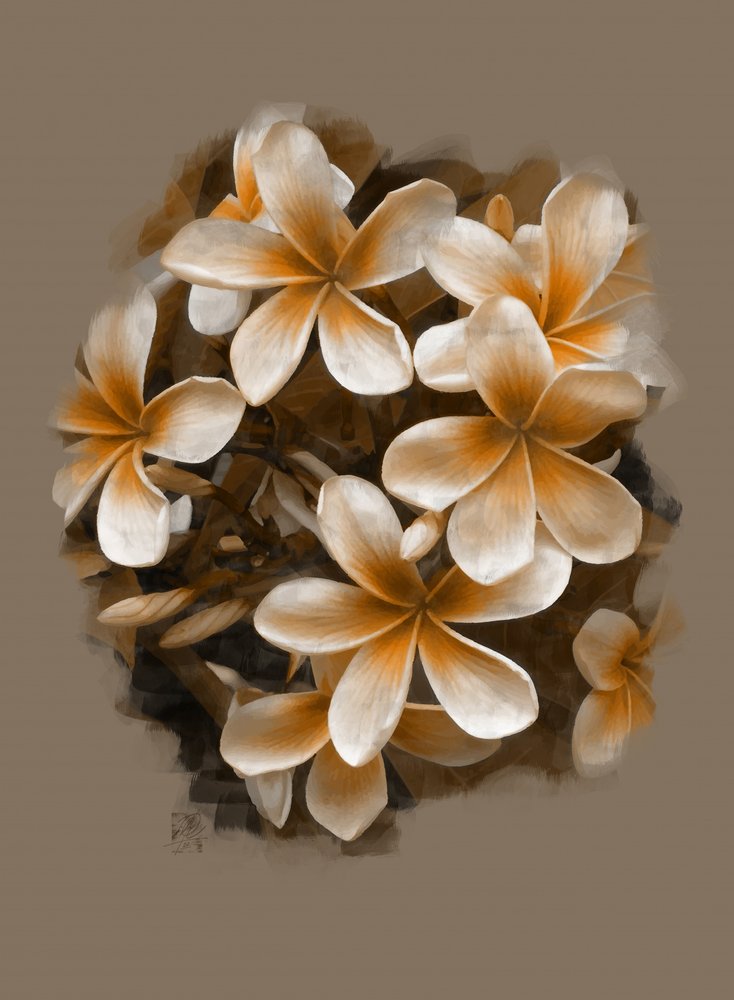 Tropical Plumeria Blooms by Osvaldo Russo