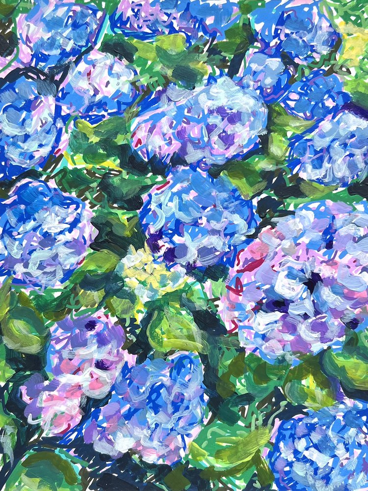 Colorful Hydrangea Blooms by Pauline Wegman | Key and Sea Creative