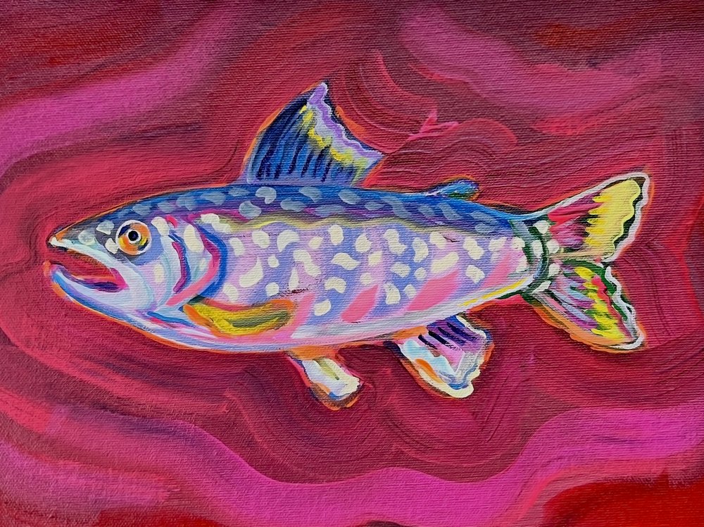 Vibrant Brook Trout by Pauline Wegman | Key and Sea Creative