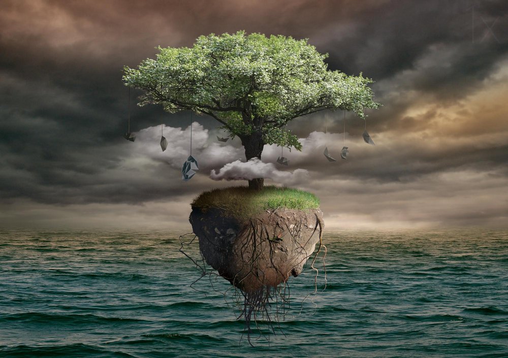 Floating Money Tree Island by Radoslav Penchev