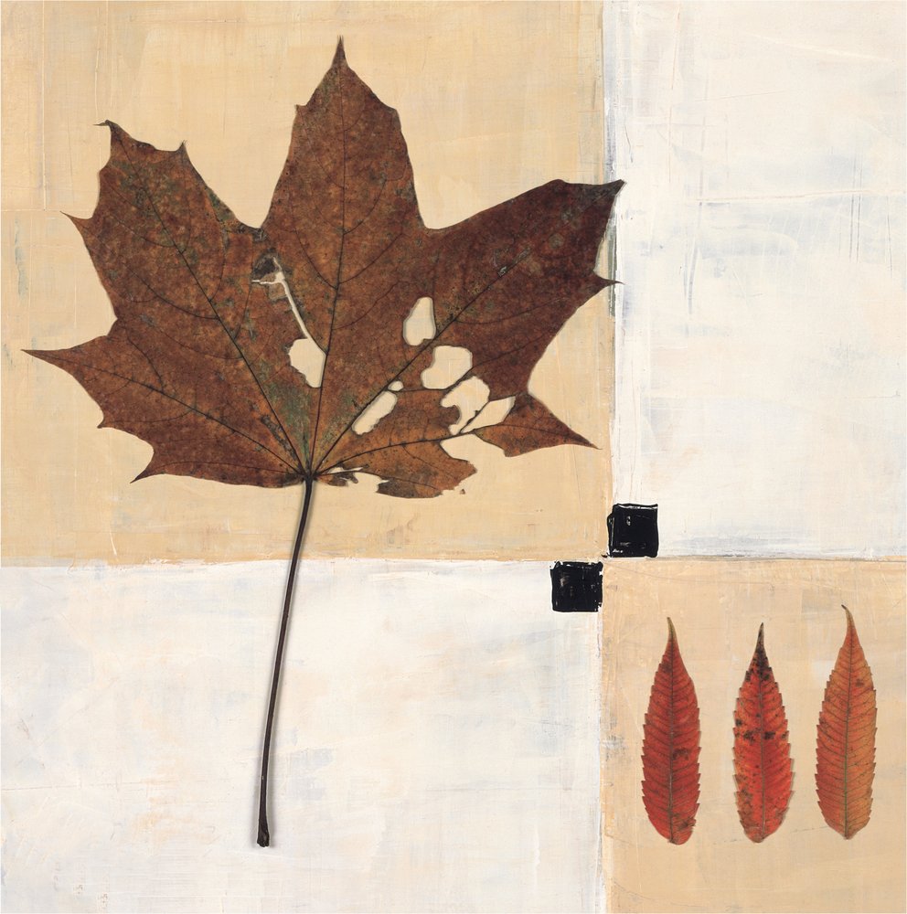 Autumn Leaves Still Life by Renate Holzner