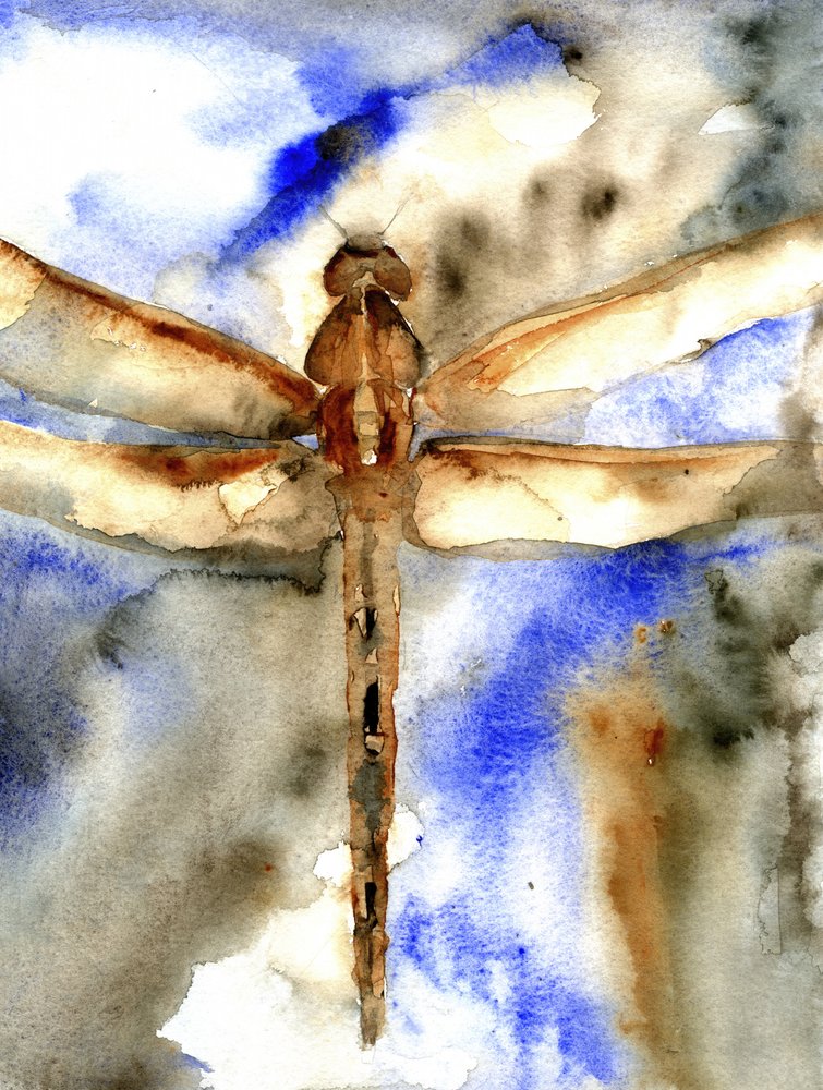 Blue Watercolor Dragonfly by RodMacIver
