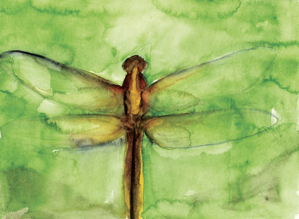 Green Dragonfly Watercolor by RodMacIver