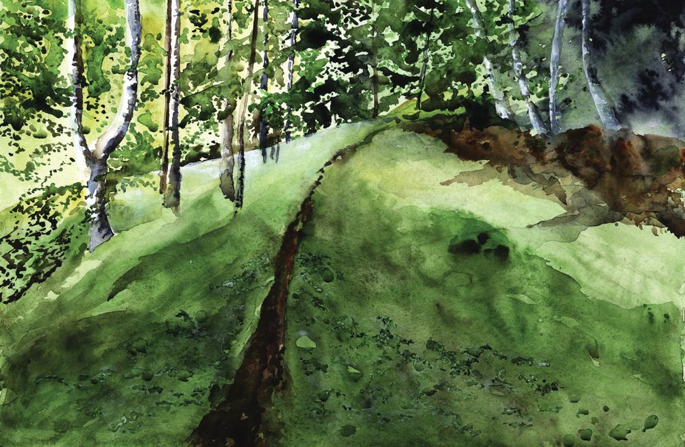 Lush Forest Path by RodMacIver