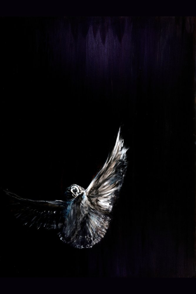 Nocturnal Owl Flight by RodMacIver