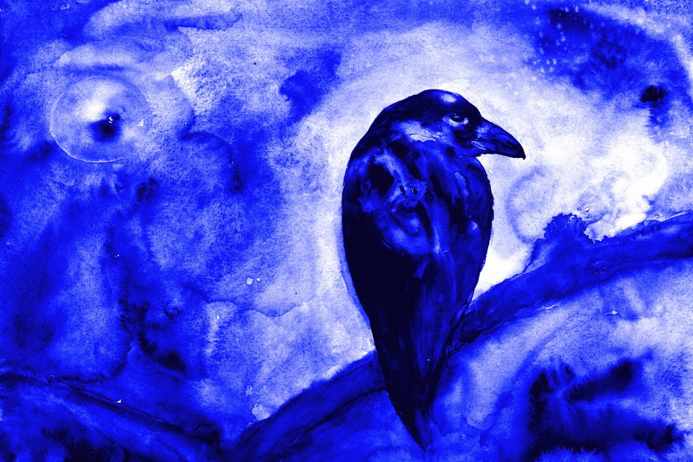 Raven Under Moonlight by RodMacIver
