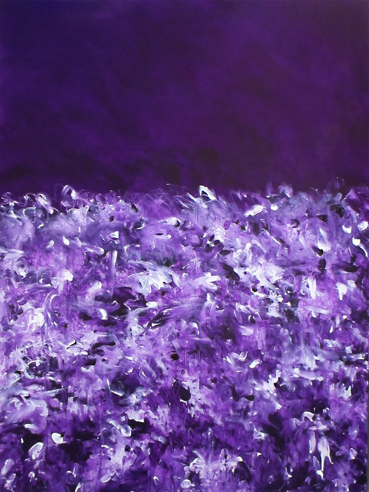 Vibrant Purple Fields by Ron Halfant