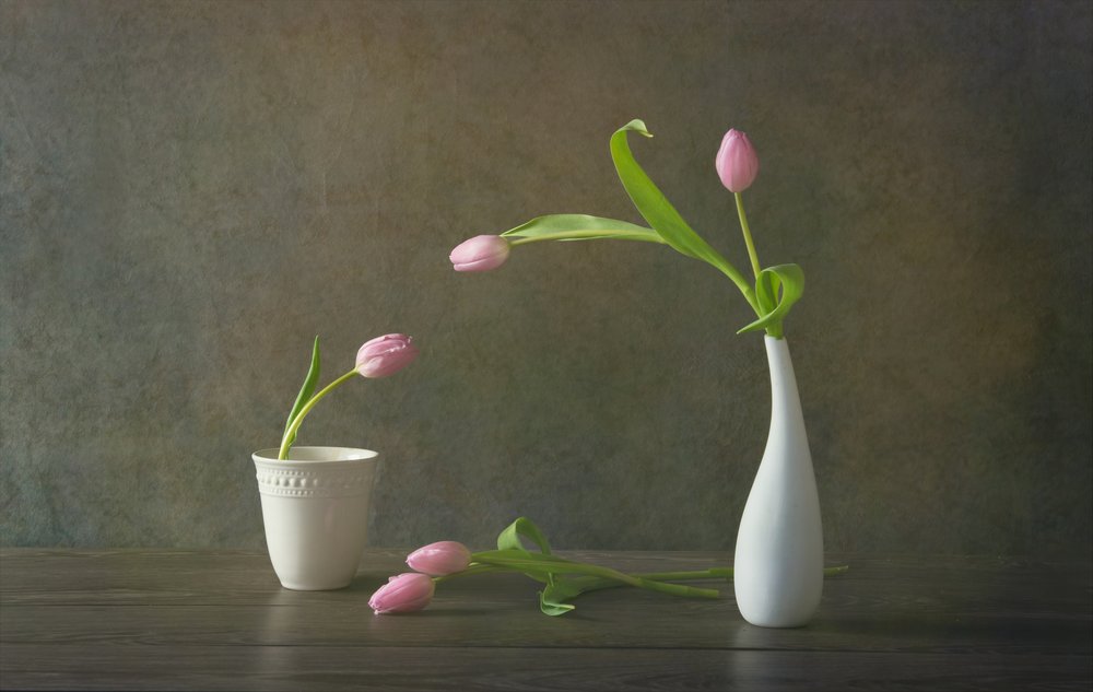 Elegant Pink Tulips Still Life by Rong Wei