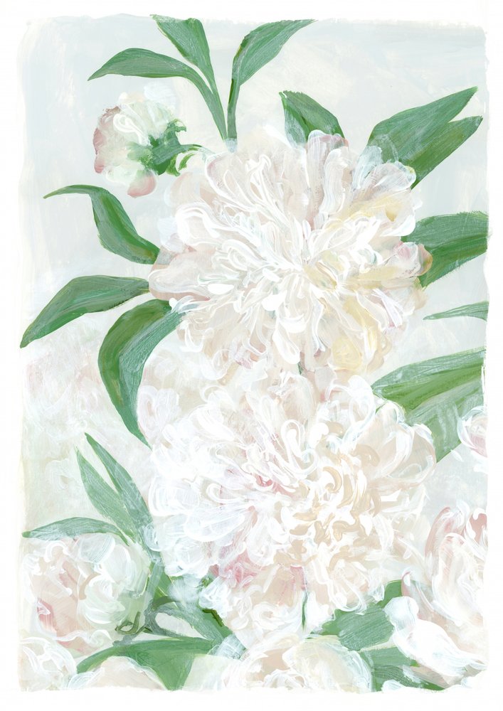 Fresh White Peonies by Rosana Laiz Blursbyai