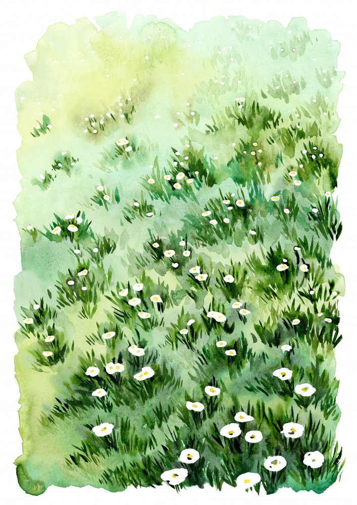 Green Meadow Flowers by Rosana Laiz Blursbyai