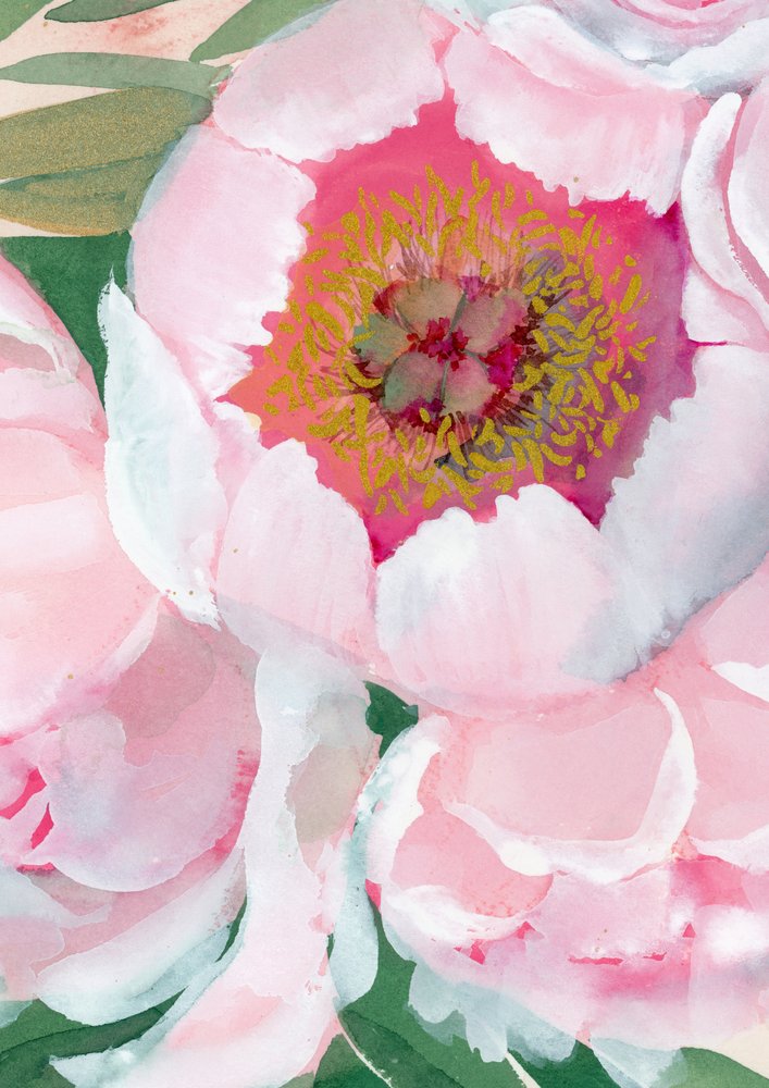 Pink Peony Blossom by Rosana Laiz Blursbyai