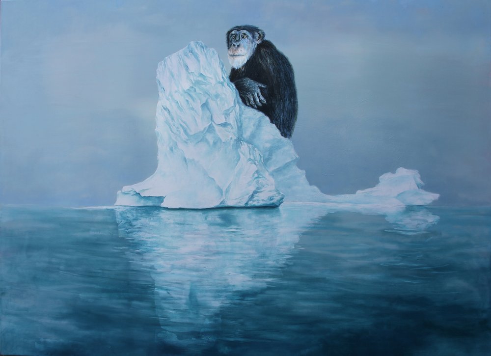 Chimpanzee on Iceberg by Rudolf Kosow