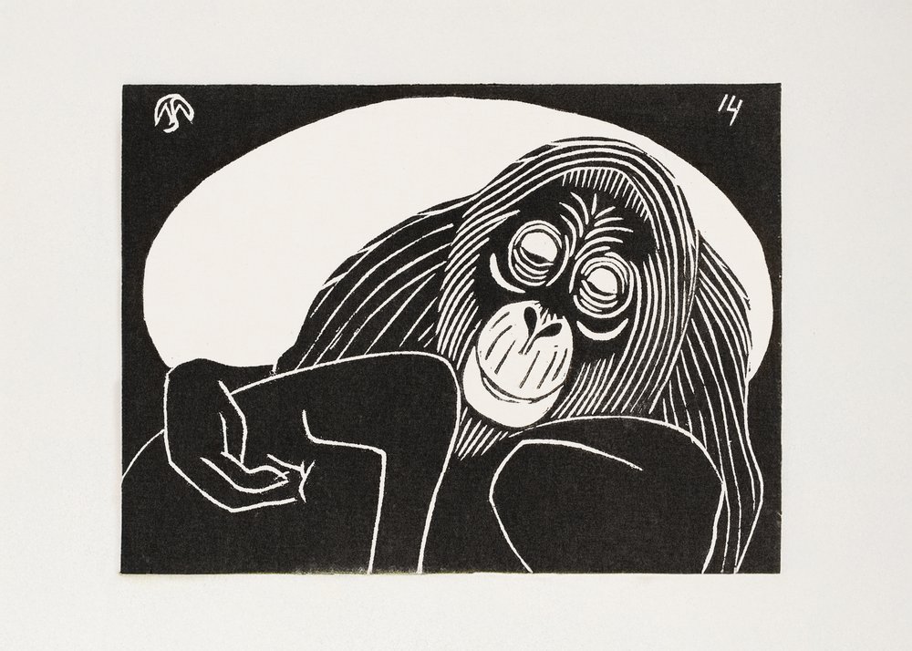 Orangutan by Samuel Jessurun de Mesquita